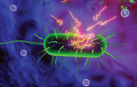 Antimicrobial